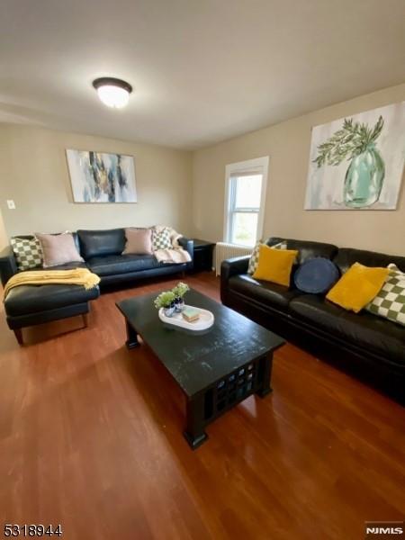 living room featuring hardwood / wood-style floors