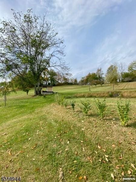 view of yard with a rural view