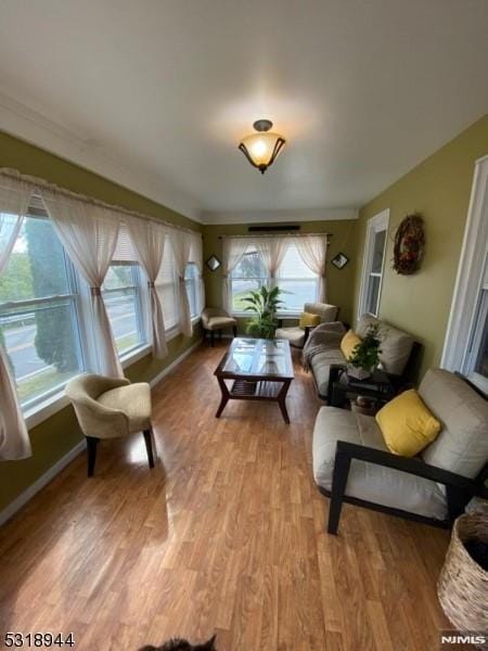 living room with light hardwood / wood-style flooring