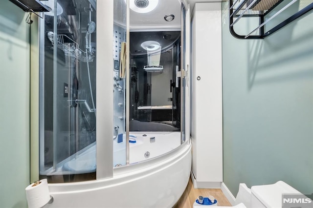 bathroom featuring wood-type flooring