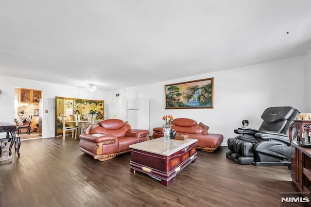 living room featuring dark wood-type flooring