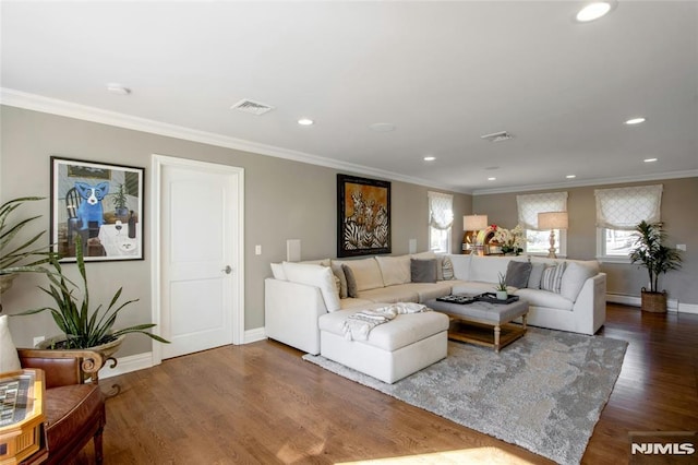 living room with ornamental molding, dark hardwood / wood-style floors, and a baseboard heating unit