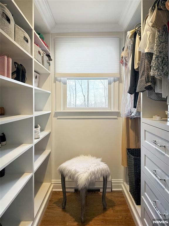 spacious closet featuring dark hardwood / wood-style flooring