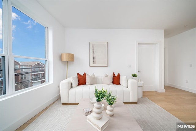 living room with light hardwood / wood-style floors and a wealth of natural light