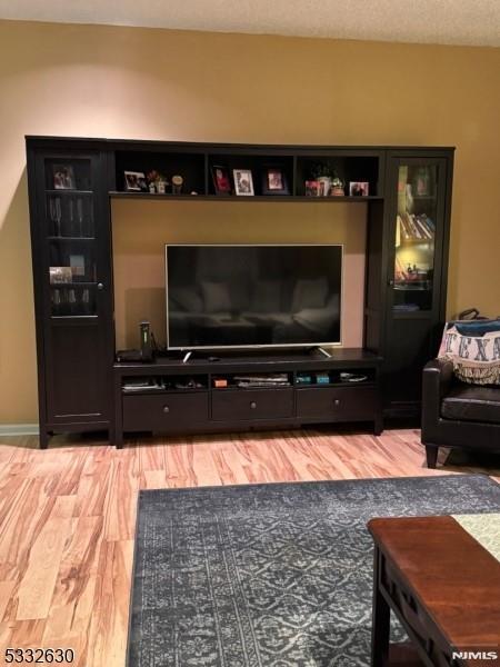 living room featuring hardwood / wood-style floors