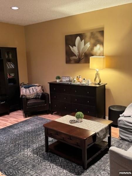 living room with a textured ceiling