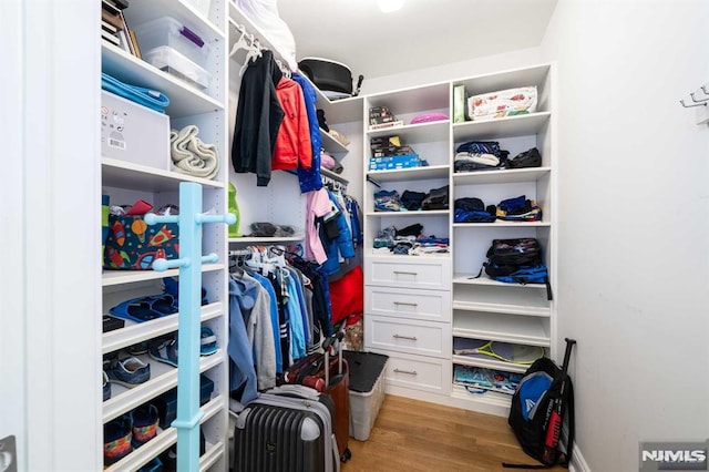 spacious closet featuring wood-type flooring