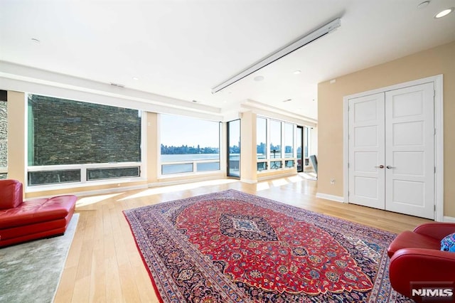 living room with hardwood / wood-style flooring