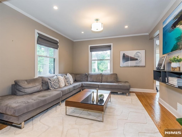 living room featuring crown molding and light wood-type flooring