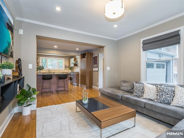 living room featuring light wood-type flooring, ornamental molding, and sink