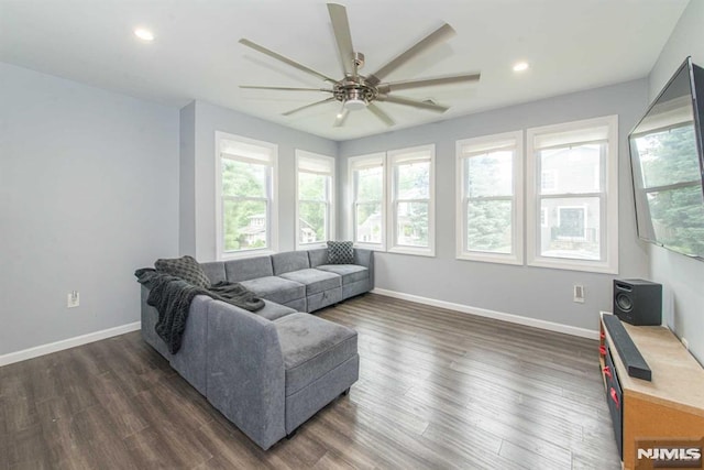 living room featuring ceiling fan and dark wood-type flooring