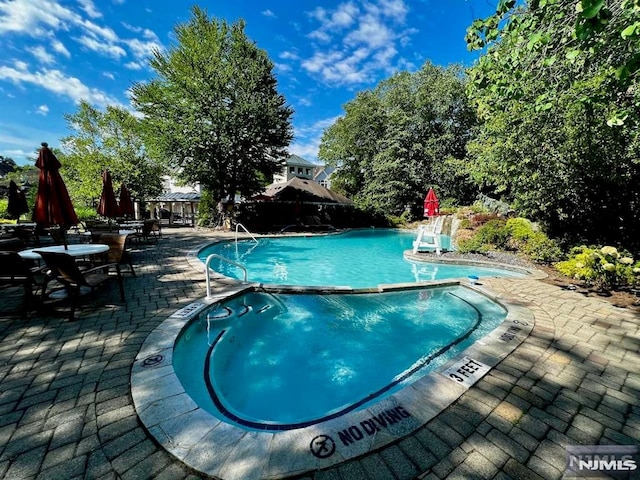 view of swimming pool with a patio