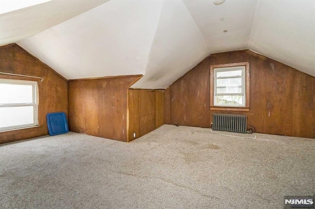 additional living space with radiator heating unit, lofted ceiling, and carpet floors