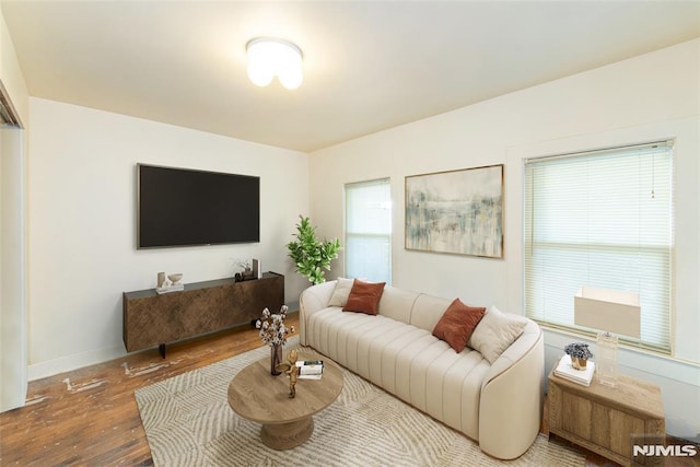 living room featuring wood-type flooring