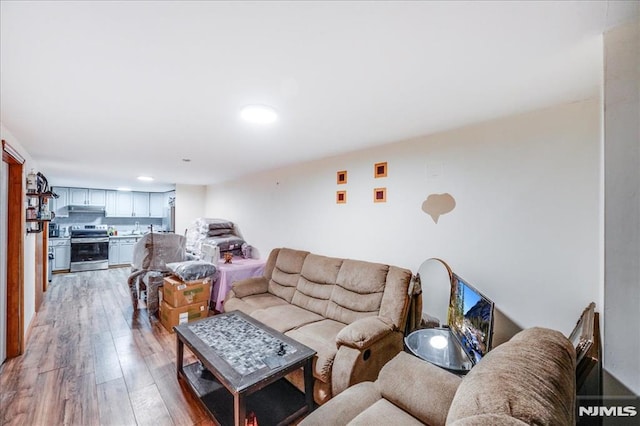 living room featuring wood-type flooring