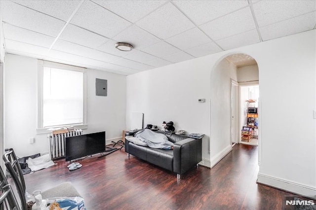 living room with a paneled ceiling, dark hardwood / wood-style flooring, radiator heating unit, and electric panel