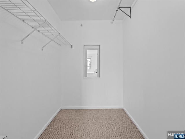 walk in closet featuring carpet floors