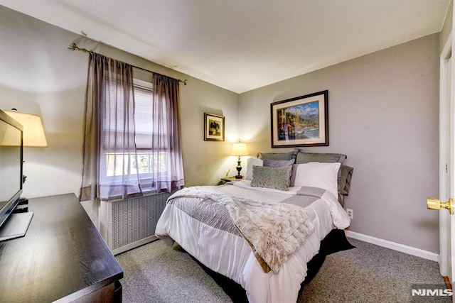 bedroom with radiator heating unit and carpet