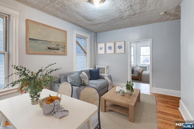 living room with light hardwood / wood-style flooring