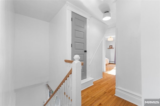 hall featuring light hardwood / wood-style floors