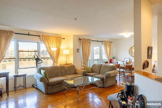 living room with light hardwood / wood-style flooring