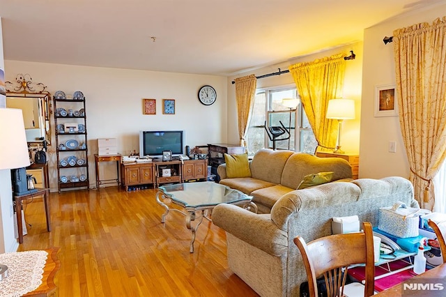 living room featuring light hardwood / wood-style flooring