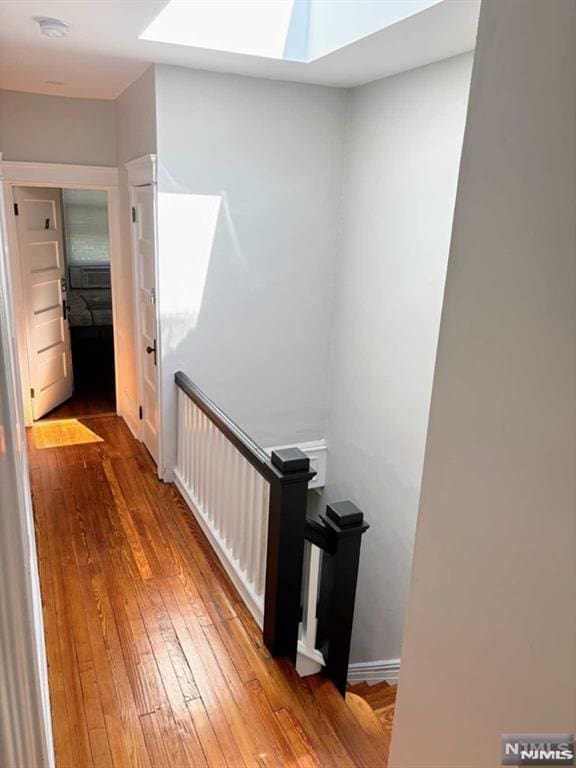 hallway featuring a skylight and wood-type flooring