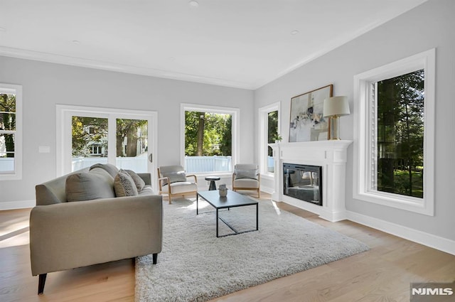 living room with crown molding and light hardwood / wood-style flooring