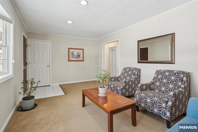 sitting room featuring carpet flooring and crown molding