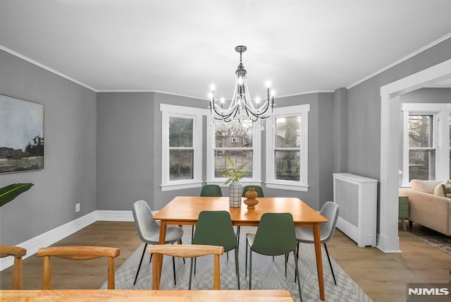 dining space featuring an inviting chandelier, light hardwood / wood-style floors, radiator, and a healthy amount of sunlight