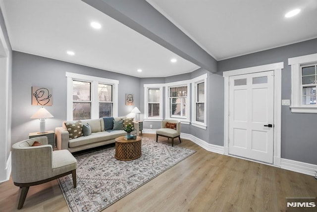 living room with wood-type flooring