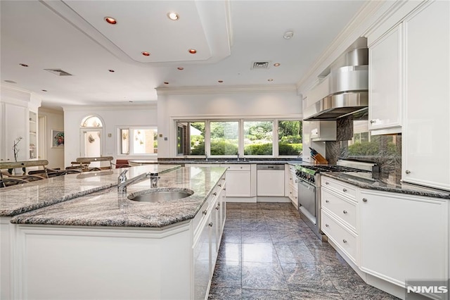 kitchen with high end stainless steel range oven, sink, white cabinets, and ventilation hood