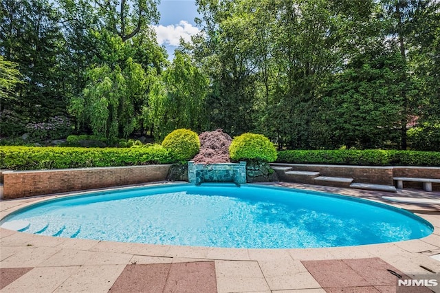 view of pool featuring a patio area