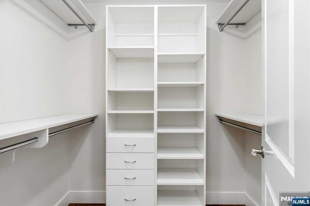 view of spacious closet