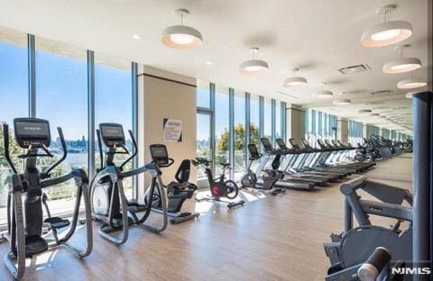 exercise room with hardwood / wood-style floors and a wall of windows