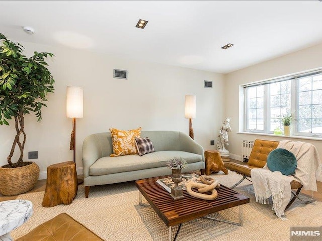 living room featuring radiator heating unit