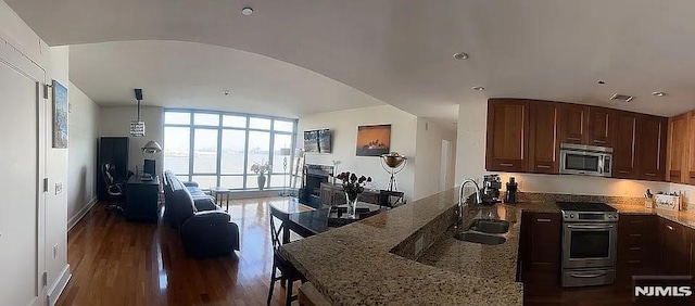 kitchen featuring dark hardwood / wood-style floors, stone counters, sink, stainless steel appliances, and a wall of windows