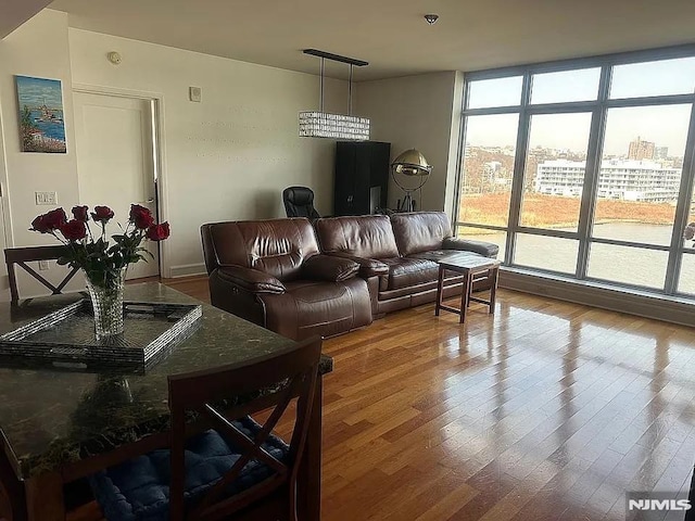 living room featuring hardwood / wood-style floors