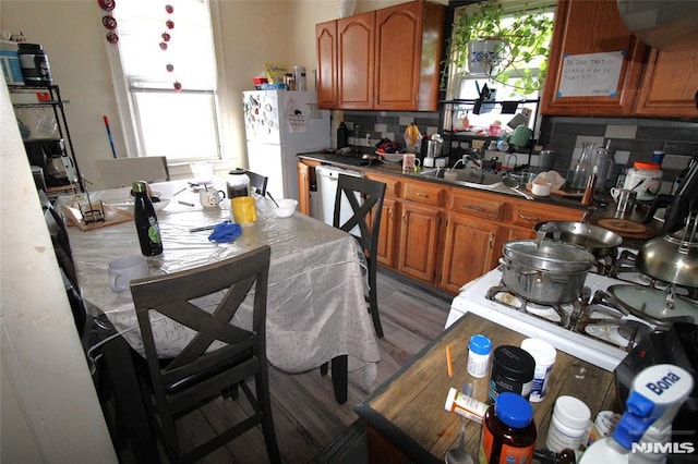 kitchen with tasteful backsplash, sink, a healthy amount of sunlight, and white fridge