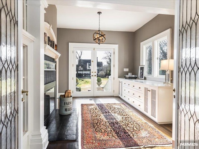 doorway with dark wood-type flooring, a wealth of natural light, and french doors