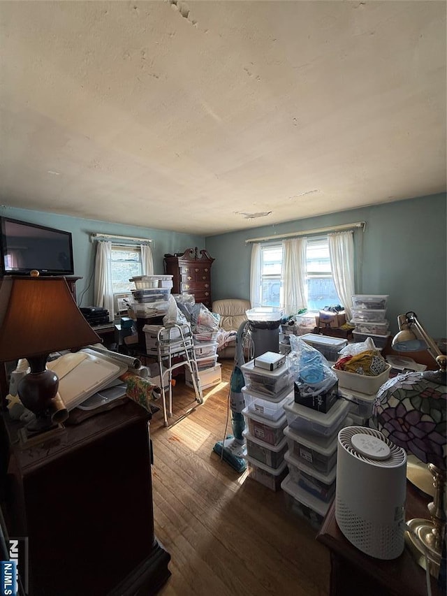 miscellaneous room with wood-type flooring and a wealth of natural light