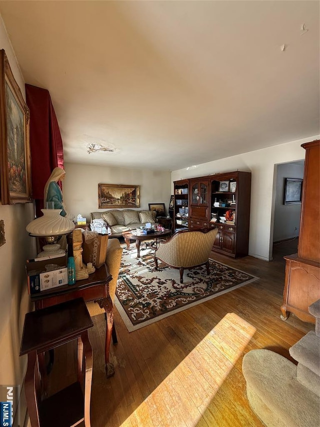 living room with wood-type flooring