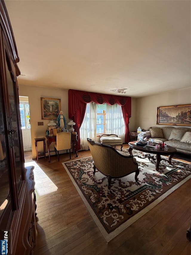 living room featuring dark hardwood / wood-style flooring