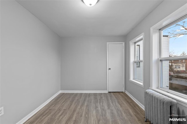 empty room featuring a wealth of natural light, radiator heating unit, and light hardwood / wood-style flooring