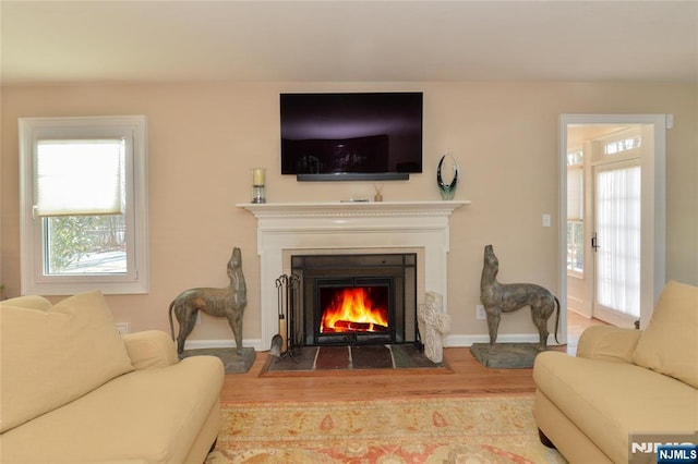 living room with hardwood / wood-style flooring