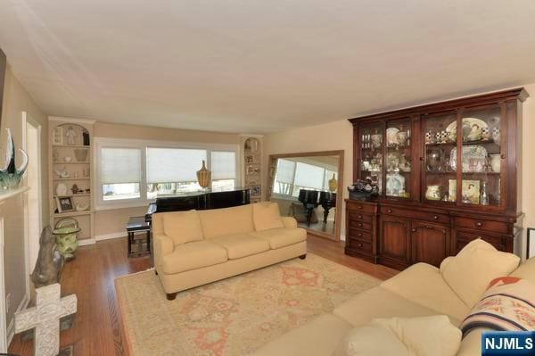 living room with hardwood / wood-style flooring