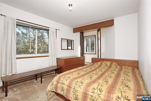 bedroom featuring a baseboard radiator and light colored carpet