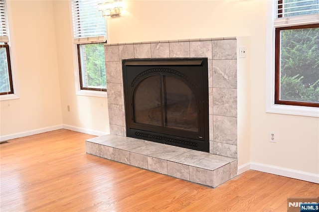 room details with hardwood / wood-style flooring and a fireplace