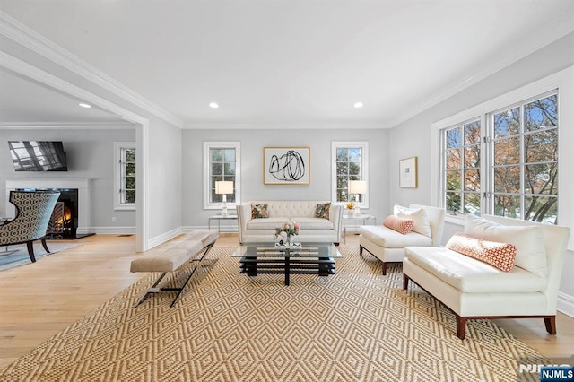 living room with crown molding and light hardwood / wood-style flooring