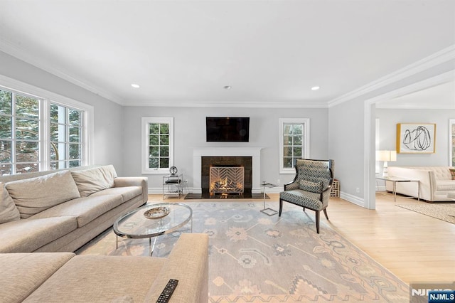 living room with a premium fireplace, crown molding, and light wood-type flooring